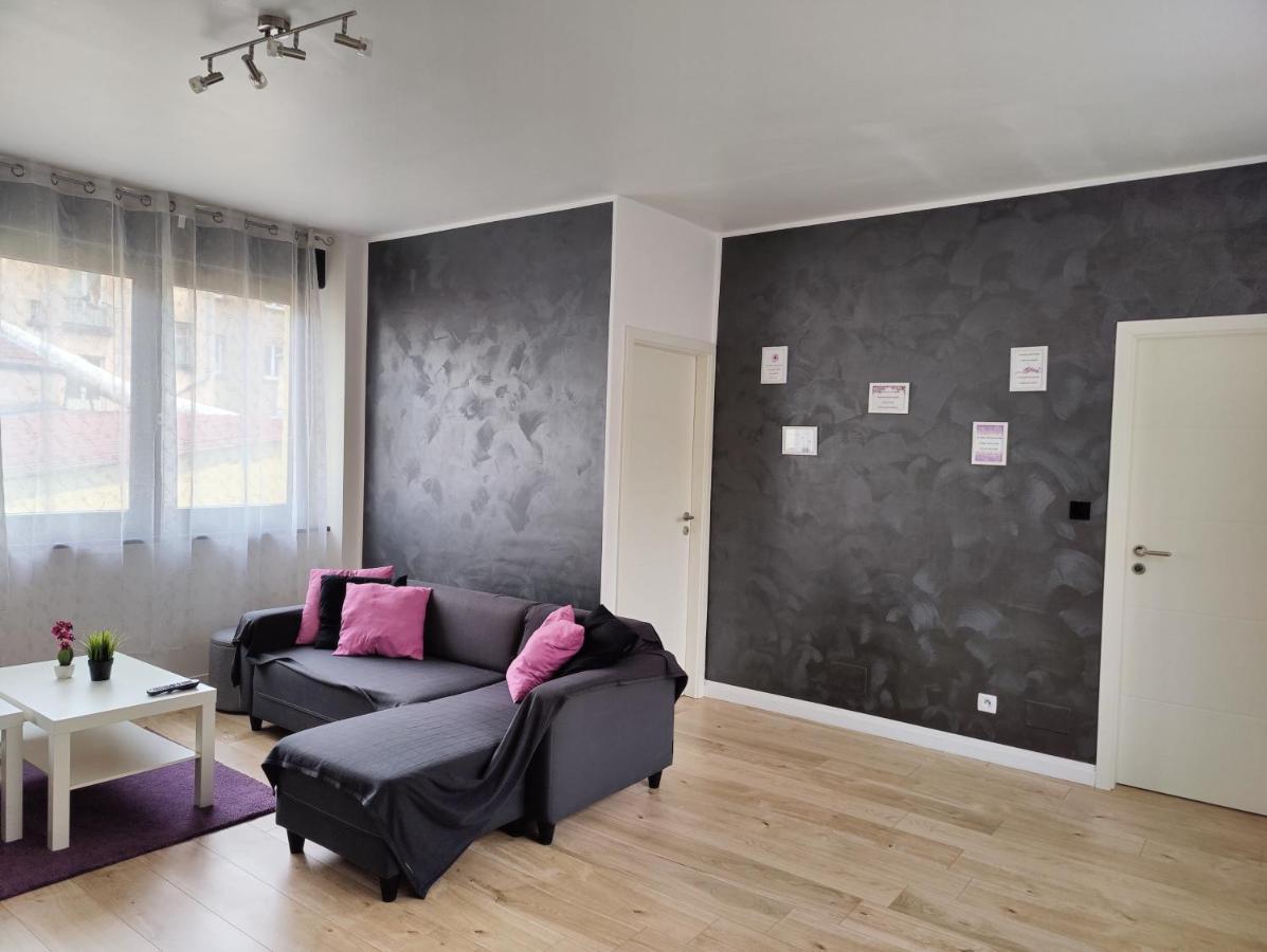 Le Purple, Appartement De Standing En Hypercentre Sarreguemines Exterior foto